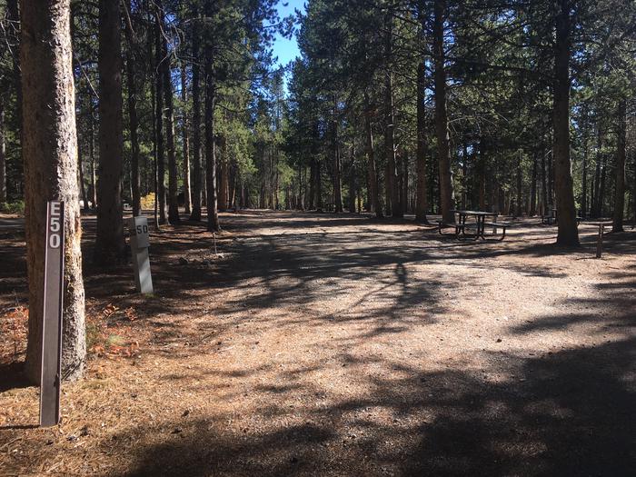 A photo of Site 50 of Loop E at Colter Bay RV Park with Full Hookup