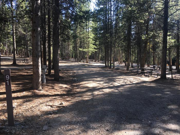 A photo of Site 491 of Loop L at Colter Bay RV Park with Full Hookup