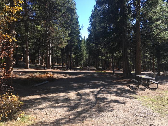 A photo of Site 69 of Loop I at Colter Bay RV Park with Full Hookup