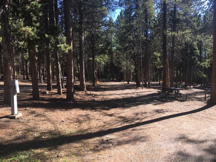 A photo of Site 472 of Loop I at Colter Bay RV Park with Full Hookup