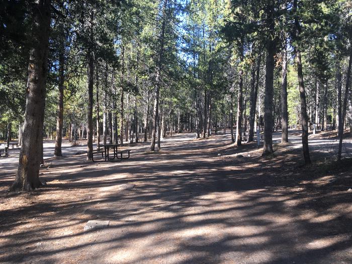 A photo of Site 480 of Loop J at Colter Bay RV Park with Full Hookup
