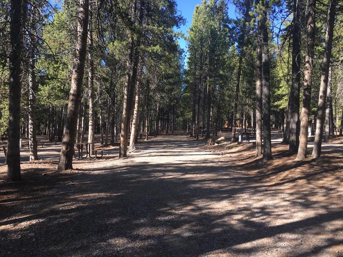 A photo of Site 486 of Loop K at Colter Bay RV Park with Full Hookup