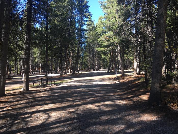 A photo of Site 471 of Loop I at Colter Bay RV Park with Full Hookup
