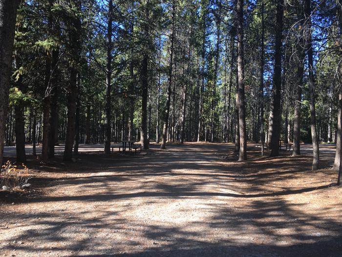 A photo of Site 497 of Loop M at Colter Bay RV Park with Full Hookup