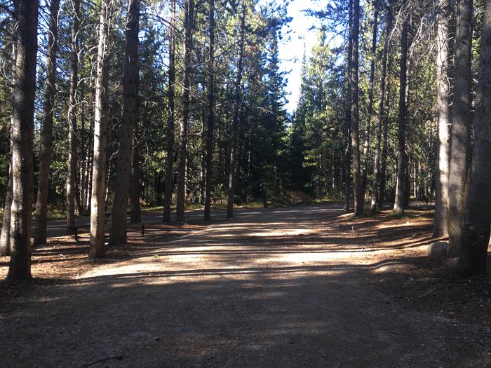 A photo of Site 510 of Loop P at Colter Bay RV Park with Full Hookup