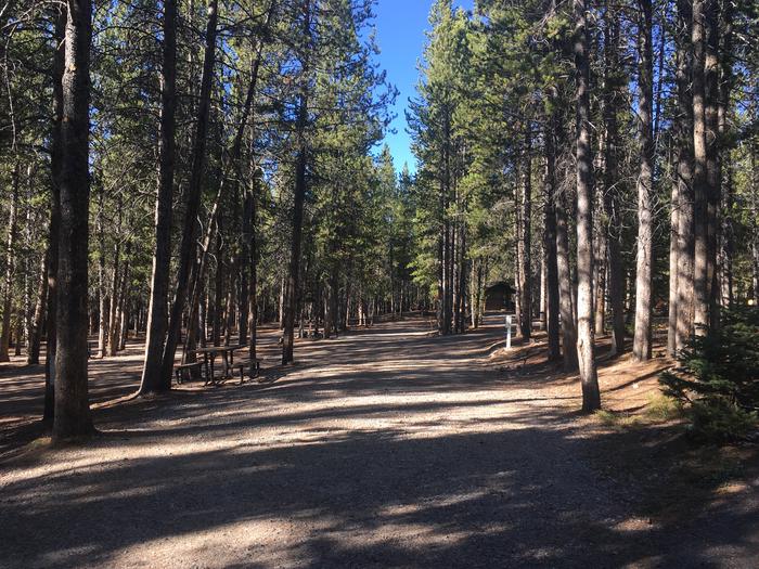 A photo of Site 479 of Loop J at Colter Bay RV Park with Full Hookup