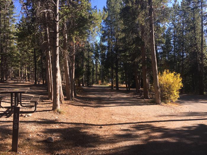 A photo of Site 509 of Loop O at Colter Bay RV Park with Full Hookup