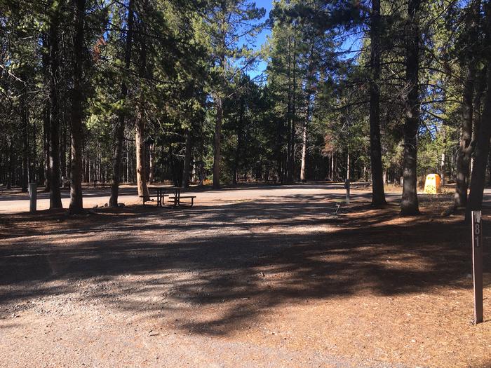 A photo of Site 481 of Loop K at Colter Bay RV Park with Full Hookup