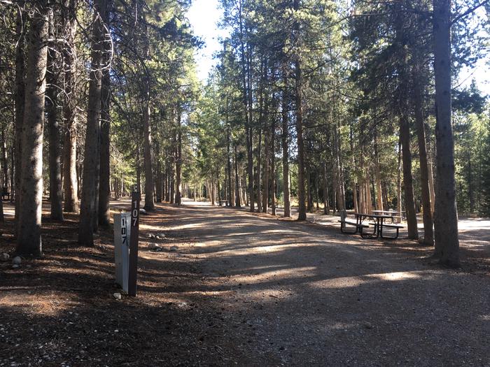 A photo of Site 507 of Loop O at Colter Bay RV Park with Full Hookup