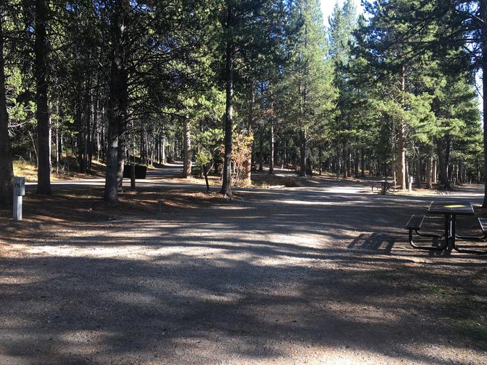 A photo of Site 475 of Loop J at Colter Bay RV Park with Full Hookup