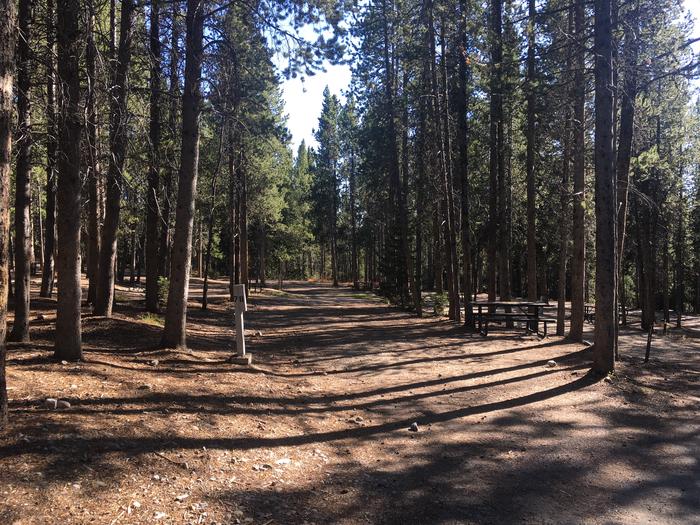 A photo of Site 478 of Loop J at Colter Bay RV Park with Full Hookup