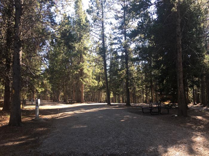 A photo of Site 488 of Loop L at Colter Bay RV Park with Full Hookup