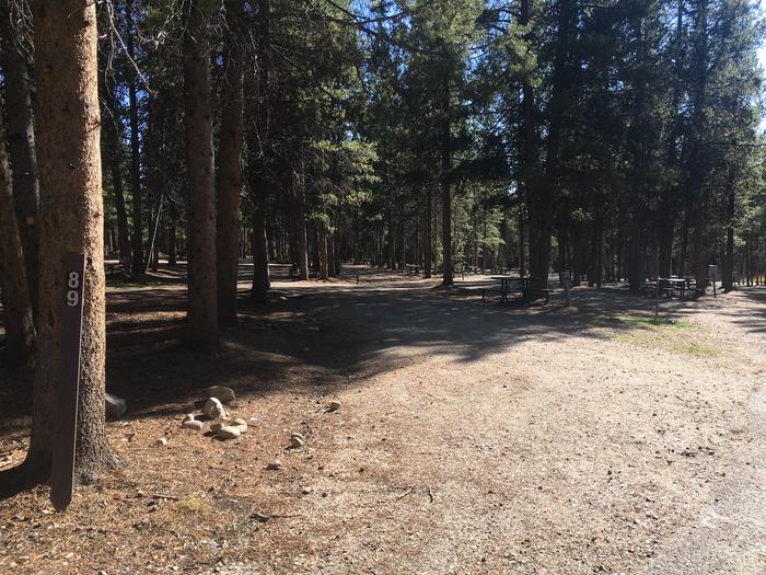 A photo of Site 489 of Loop L at Colter Bay RV Park with Full Hookup