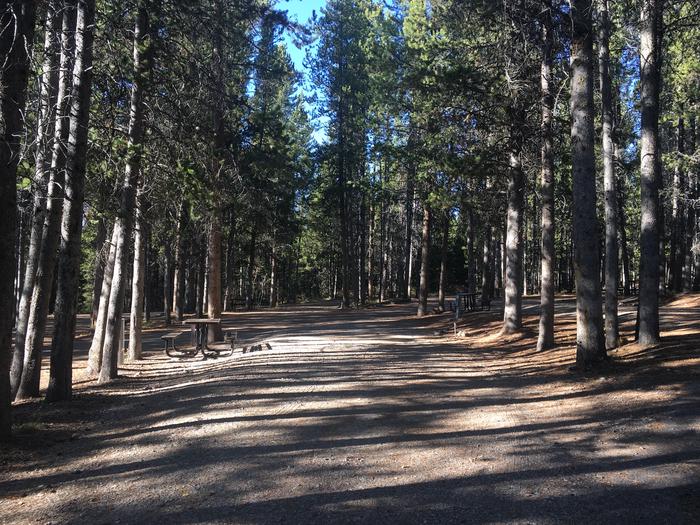 A photo of Site 508 of Loop O at Colter Bay RV Park with Full Hookup