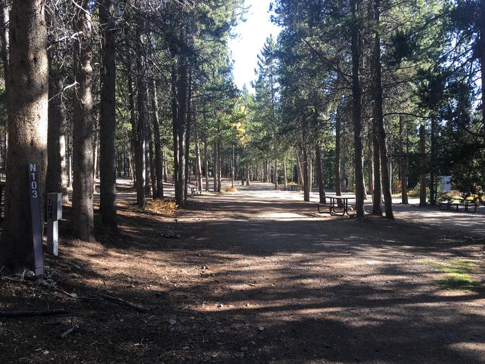 A photo of Site 503 of Loop N at Colter Bay RV Park with Full Hookup