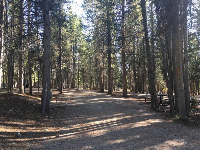 A photo of Site 505 of Loop O at Colter Bay RV Park with Full Hookup