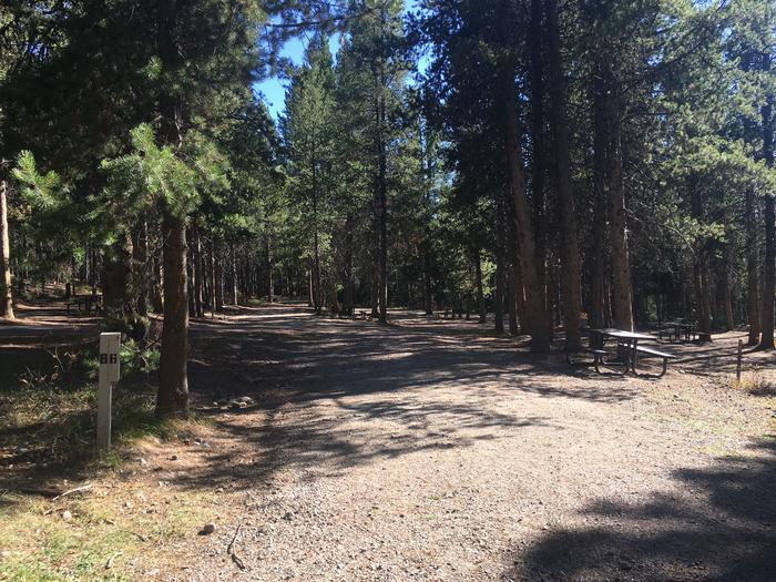 A photo of Site 66 of Loop H at Colter Bay RV Park with Full Hookup