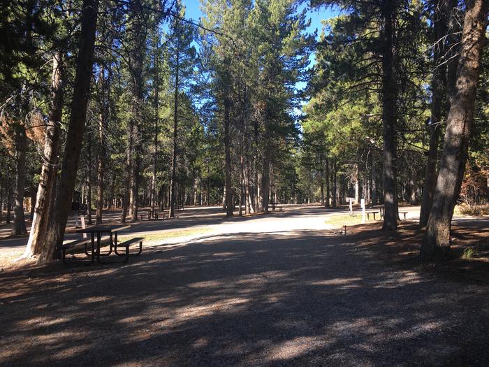 A photo of Site 476 of Loop J at Colter Bay RV Park with Full Hookup