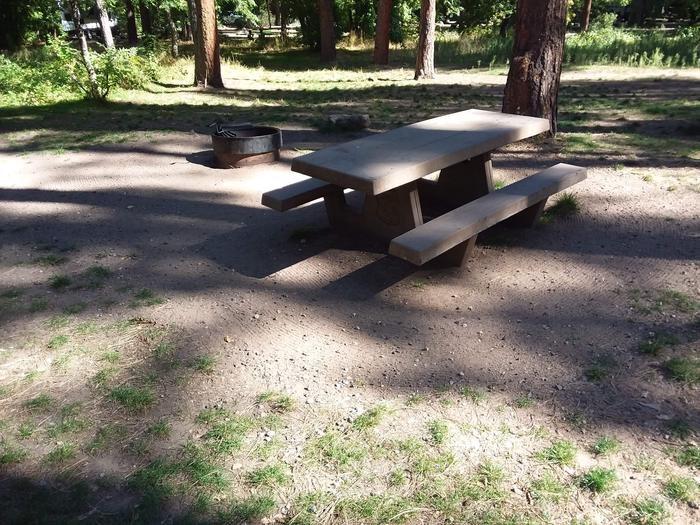 Site D14 with picnic table and fire ring