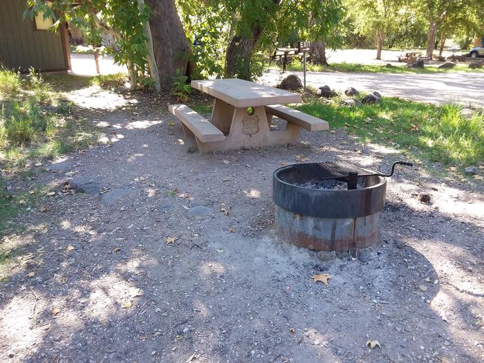 Site 6 with a picnic table, a campfire ring, and parking.