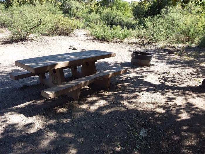 Site 8 with a picnic table, fire ring, and parking.