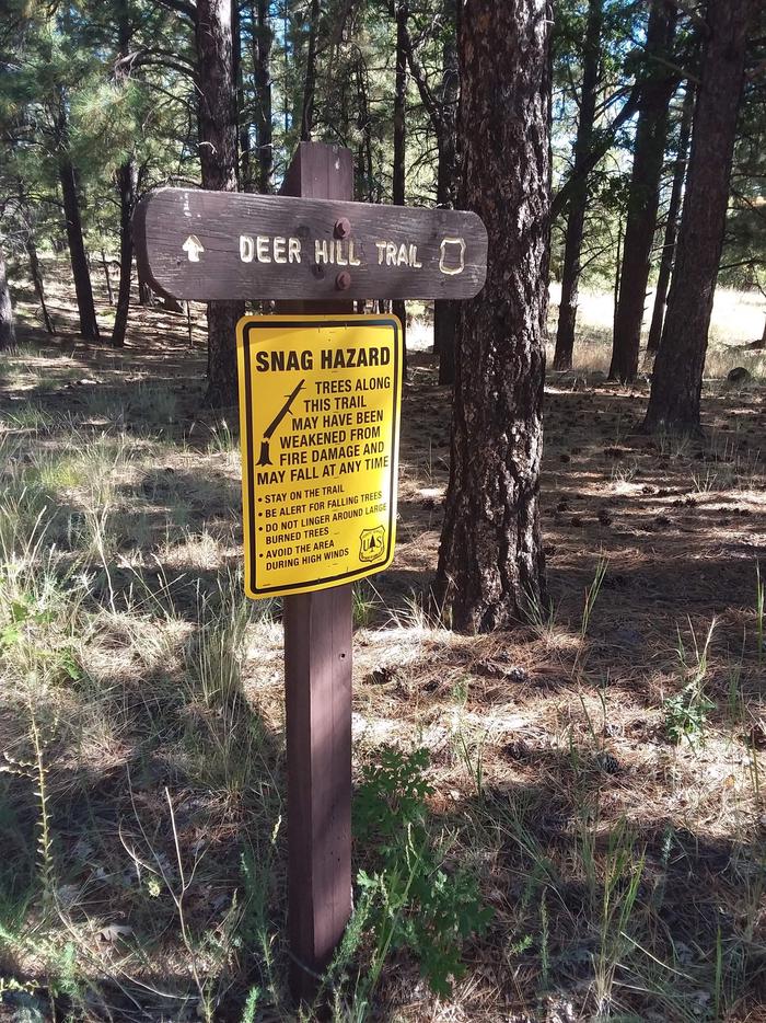 Little Elden Springs Deer hill trail sign