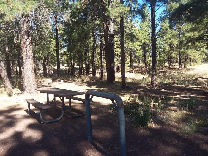 Site 12 amid trees with a table and Horse hitch.