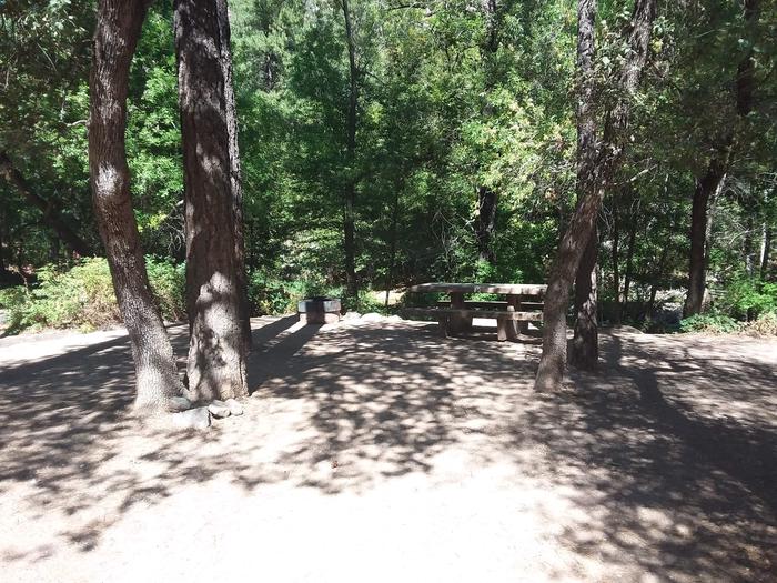 Manzanita Campground campsite with luscious trees