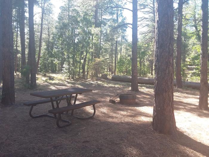Site 2 with a fire ring, picnic table, and parking.