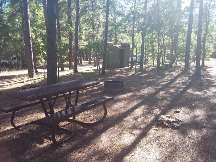 Site 3 with a picnic table, a fire ring, and parking area.