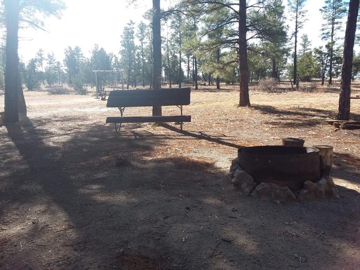 Elks Group CG: Picnic Area, table, and fire pitElks Group CG