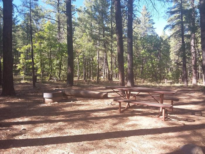 Site 7 with a picnic table, fire ring, and parking area.