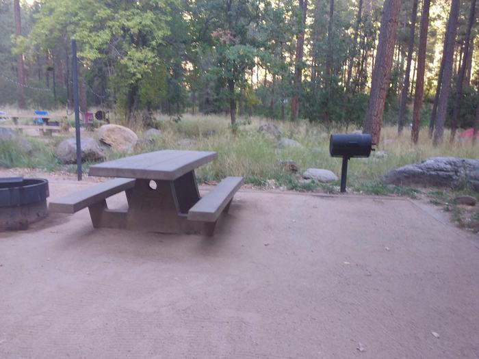 Pine Flat Site 12 with picnic table, grill and fire ring