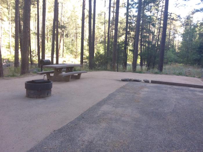 Pine Flat Site 17 with picnic table, grill and fire ring