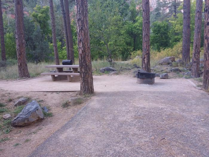 Pine Flat Site 21 with picnic table, grill and campfire pit