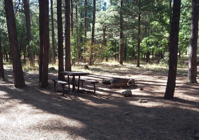 Dairy Springs Campground site #10