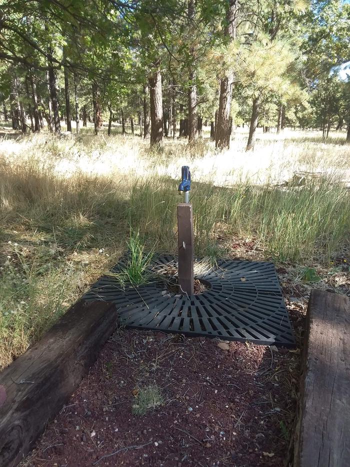 Little Elden Springs water pump surrounded by grass.Little Elden Springs water pump