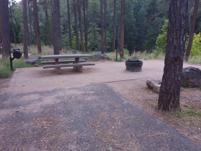 Pine Flat Site 23 with picnic table, grill and campfire ring
