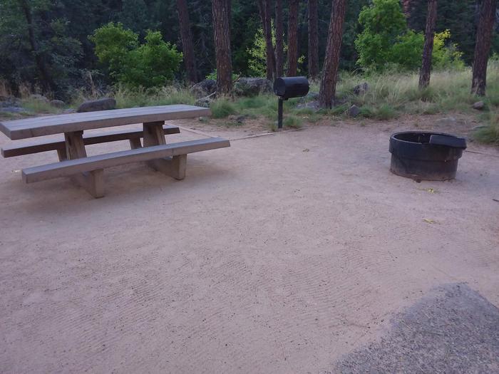 Pine Flat Site 24 with picnic table, grill and campfire ring