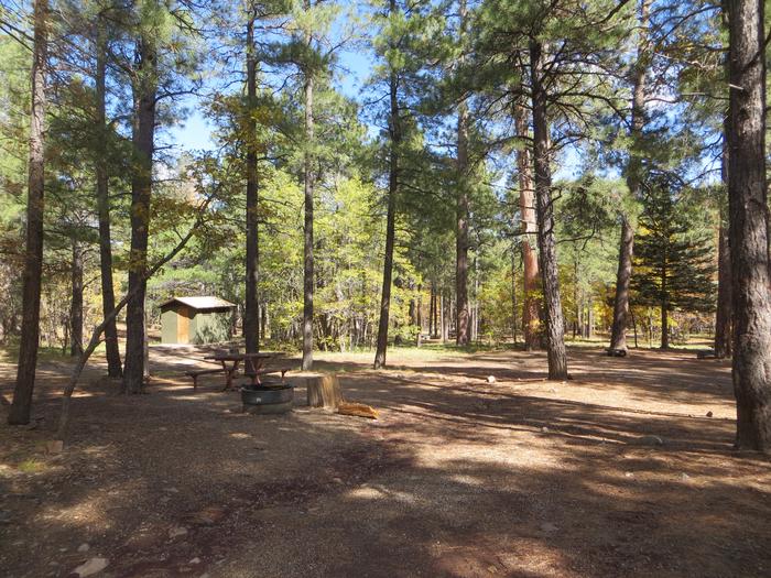 Site 15 with a picnic table, campfire ring, and parking.