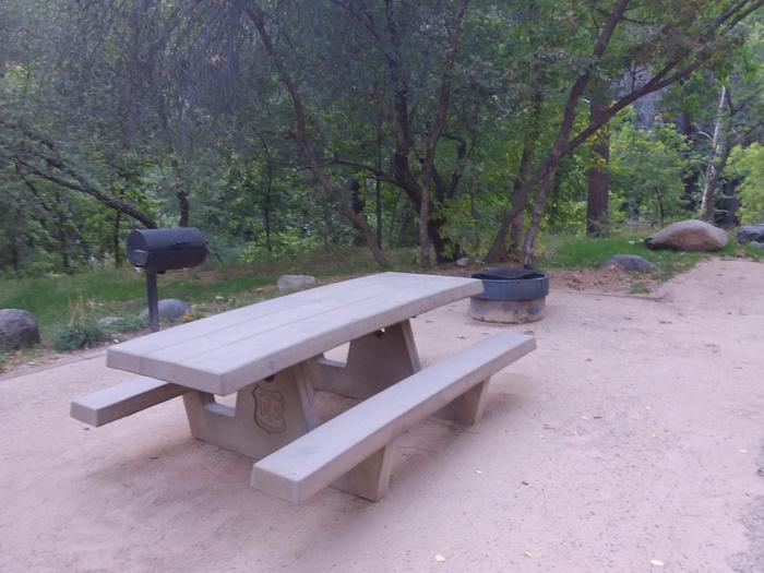 Pine Flat Site 30 with picnic table, grill and campfire ring