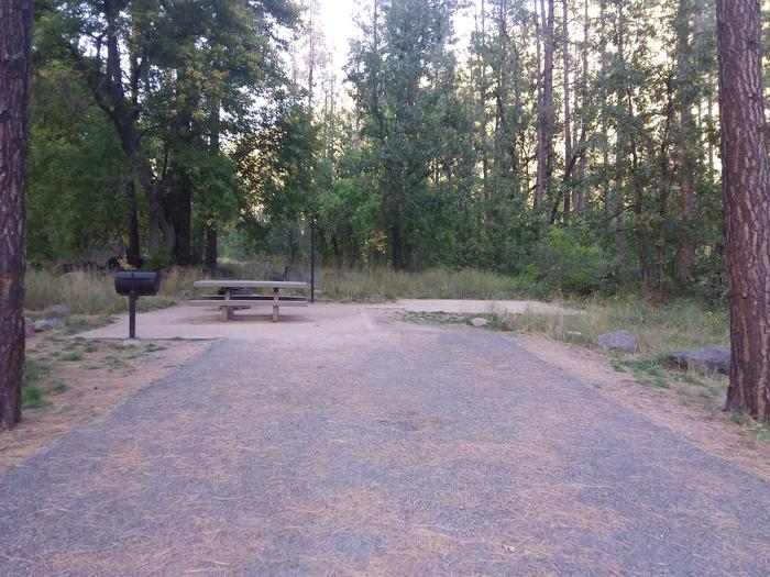 Pine Flat Site 32 with picnic table, grill and campfire ring