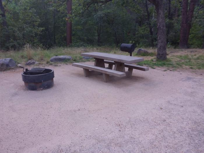 Pine Flat Site 33 with picnic table, grill and campfire ring