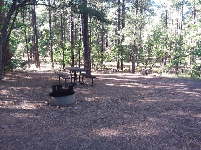 Site 20 with parking, a campfire ring, and a picnic table.