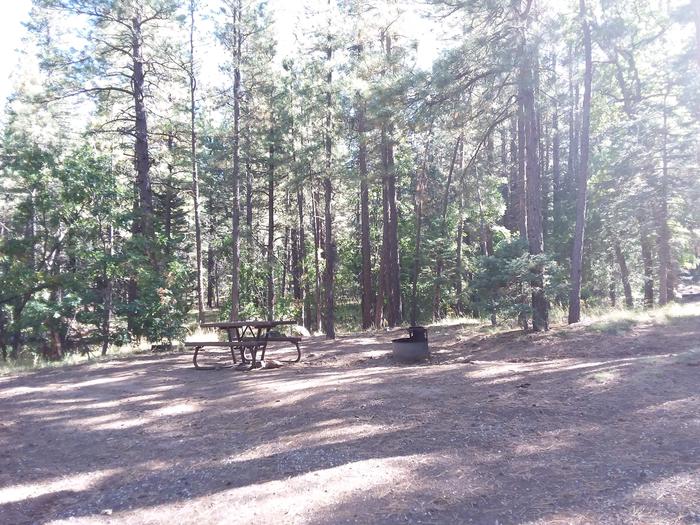 Site 23 with picnic table, parking, and fire ring.
