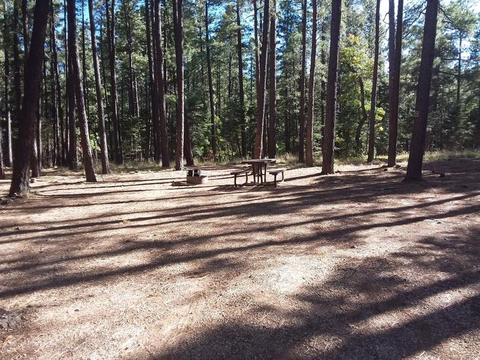 Site 26 with a picnic table, fire ring, and parking.