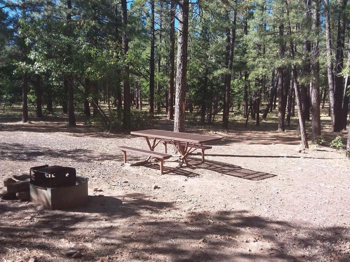 Site 29 with a fire ring, picnic table, and parking.