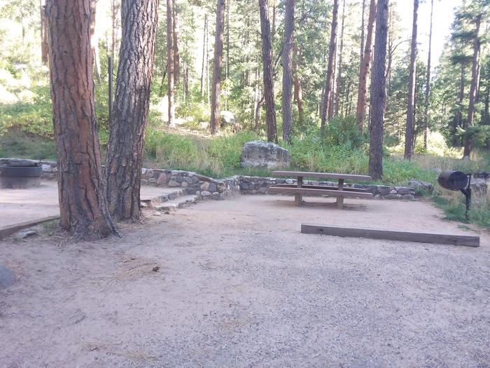 Pine Flat Campground Site 55 with a picnic table, grill, and campfire ring