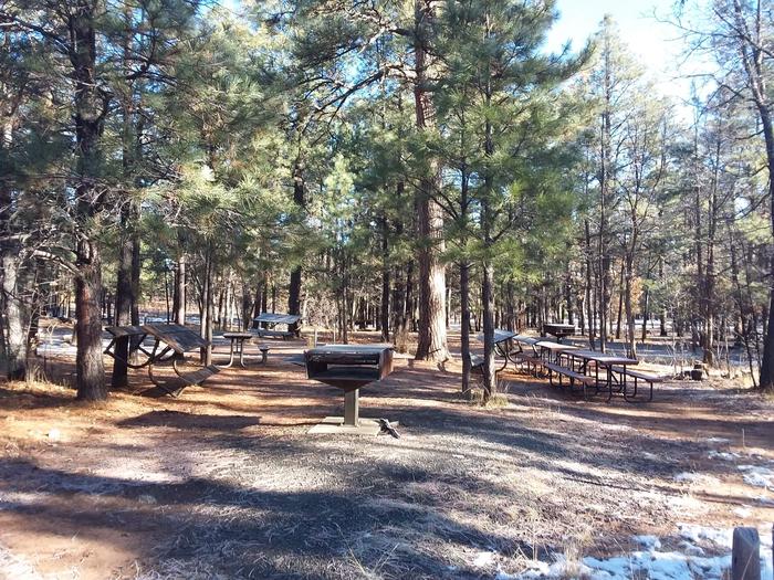 Moqui Group Campground Site 1: multiple tables and standing grillsMoqui Group Campground