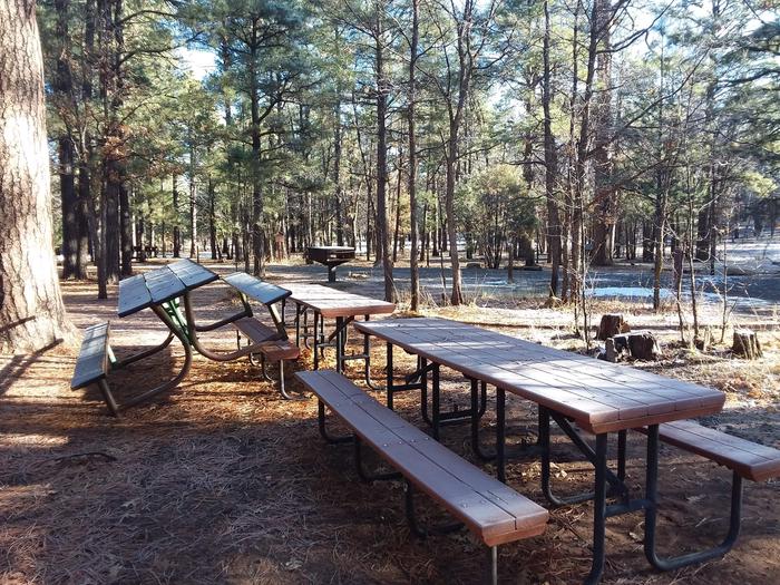 Moqui Group Campground Site 1: multiple tables and standing grills in group areaMoqui Group Campground